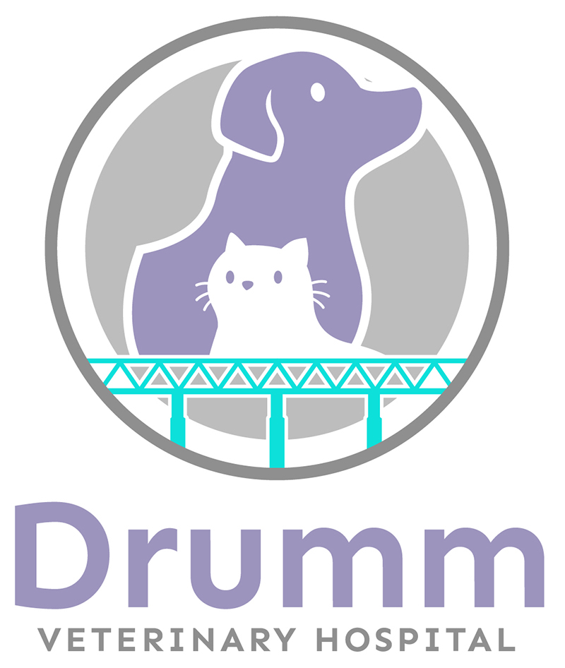 Drumm Veterinary Hospital Logo