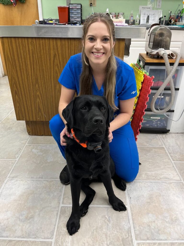 Veterinarian In Castleton-On-Hudson, NY | Drumm Vet Hospital